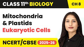 Mitochondria and Plastids - Eukaryotic Cells | Class 11 Biology Chapter 8 | CBSE 2024-25