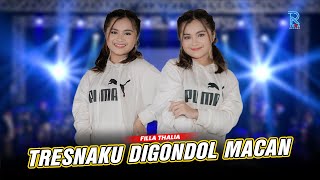 Download lagu FILLA TALIA - TRESNAKU DIGONDOL MACAN FT. NEW ARISTA mp3 Download lagu FILLA TALIA - TRESNAKU DIGONDOL MACAN FT. NEW ARISTA mp3
