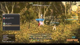 Final Fantasy XIV Online - Elm log Farming Guide
