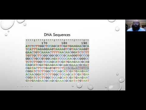Shaar Hayichud Ch 1 P 2