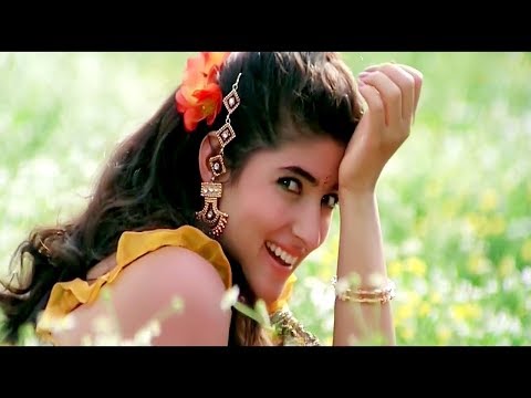 Phool Maangu Na Bahaar Maangu - Video Song | Raja | Madhuri Dixit & Sanjay Kapoor