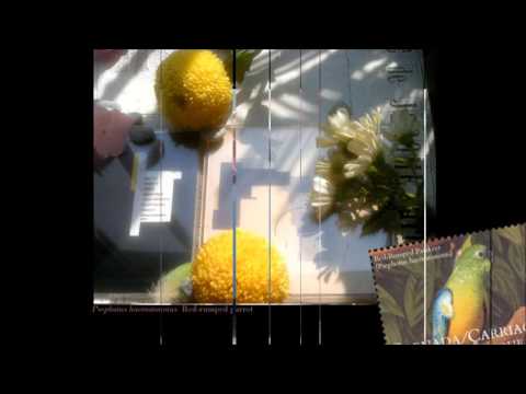 the durutti column circuses and bread a side l986