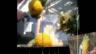 the durutti column circuses and bread a side l986