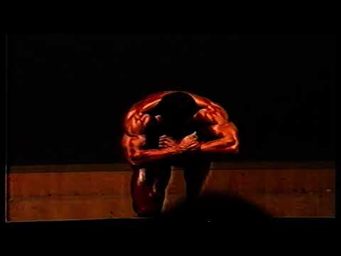 Europa Meisterschaft 1987 - IFBB - Teil 10