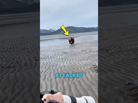 5 important tips when using bear spray!  #MontanaFWP #Montana #Bears #wildlife  #outdoors #nature