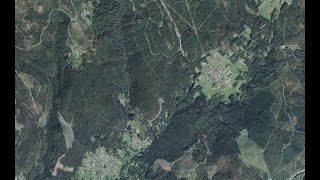  Expansin e homoxeneizacin do espazo forestal