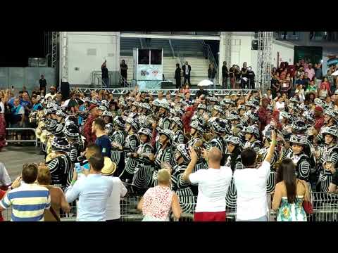 Bateria Independente Tricolor