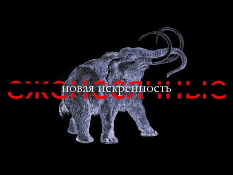 Video thumbnail for новая искренность (new sincerity)