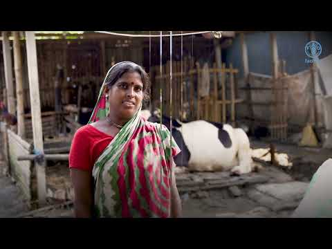 Achieving better production in Asia-Pacific through digital agriculture