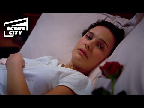 "Where's This Love? I Can't See It" | Closer (Natalie Portman, Jude Law)