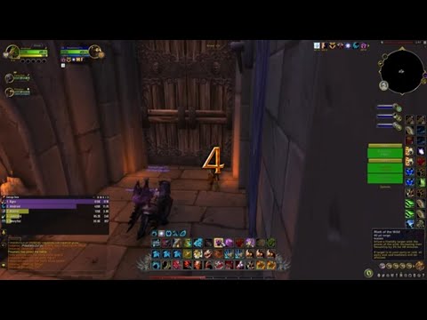 Dragonflight 10.1 Feral Druid PVP Solo Shuffle