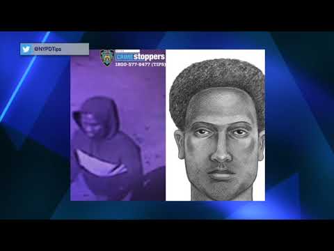 Prospect Park Attack