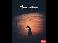 Nuvvevaru Nenevaru Rasinadhevaro Mana Kathalu Telugu Whatsapp Status Mr Nookayya