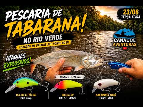 Descemos o Rio Verde e as TABARANAS ATACARAM! | Estação de Freitas até Ponte do Pi | Caiaque