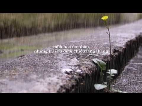 Ở nơi nào cũng có mưa - Ngọc Huy