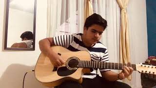 El cisne/Miguel y Miguel/ Cover-Requinto