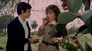 Download lagu Seduction and Jealousy: That Splendid November | Italian Cinema Classic mp3