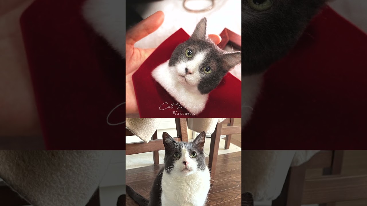 羊毛フェルト猫制作＿グレーハチワレ猫