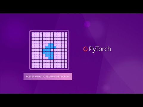 How Mars Petcare Uses PyTorch To Help Diagnose Cancer in Pets Earlier