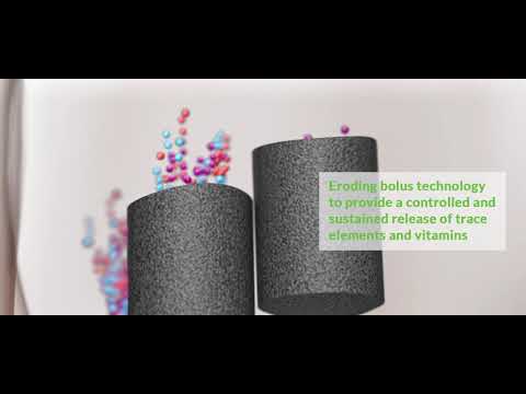 Edge Interactive Ltd video.