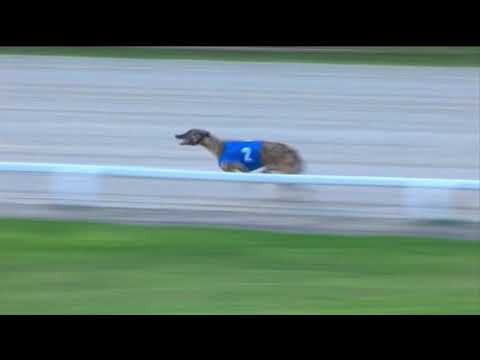 2018 STAR SPORTS DERBY INTERTRACK - T2 ASHAKIRAN