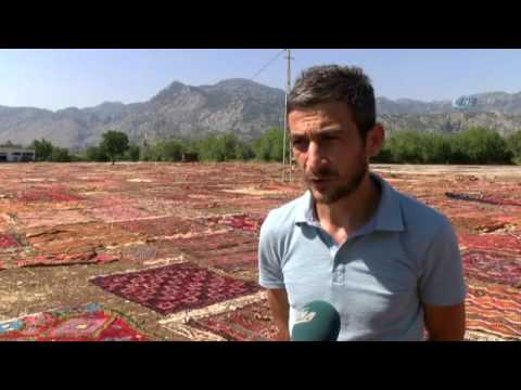 download lagu mp3 mp4 Kilim anta, download lagu Kilim anta gratis, unduh video klip Kilim anta