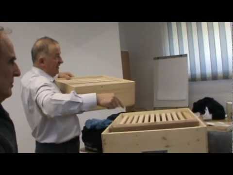 4/6 O metoda noua de predare la scoala de apicultura din Bacau care sa combine teoria cu practica