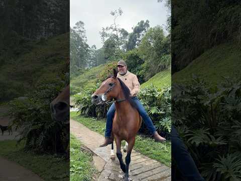 2° Festival Equino 🐎📍 Cañasgordas. El Corazón del Occidente📅 Sábado 27 de junio