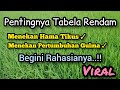 Semua Petani Penasaran Tentang Tabela Basah Ternyata Begini Tehniknya