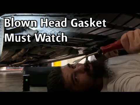 Mustang EcoBoost S550 Head Gasket Replacement - Ep 1