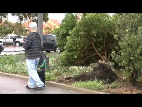 'Tornado' roars through Sunset Beach - 2010-01-20