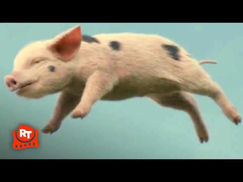 Nanny McPhee Returns (2010) - The Flying Piglets Dance Scene | Movieclips