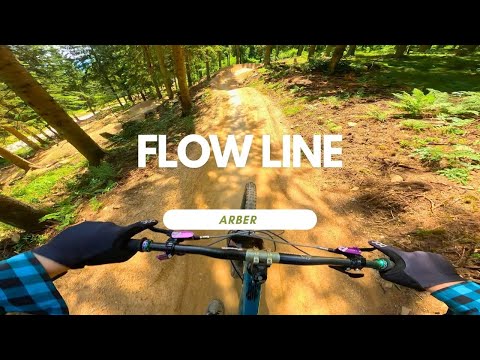 Flow Line Bikepark Arber Trail Review ganze Strecke Full Run POV RAW
