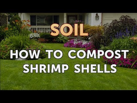 How to Compost Shrimp Shells