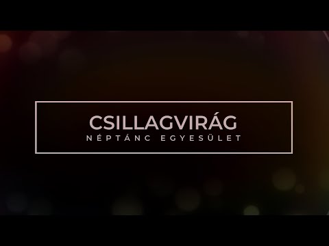 Néptánc fellépés a Patapoklosi  falunapon