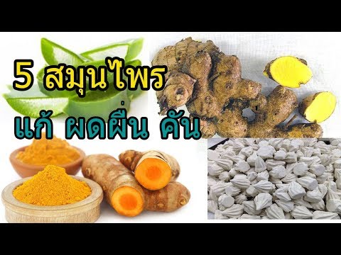 ครีมที่นิยมสำหรับกลาก Seborrhea และโรคสะเก็ดเงินที่แตกต่างกัน