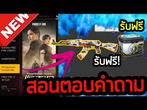 ฟีฟายฟรี
