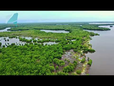 BAHIA DE CISPATÁ EN SAN ANTERO CÓRDOBA