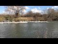 Ants W2 ejector-crash, Torpids 2016