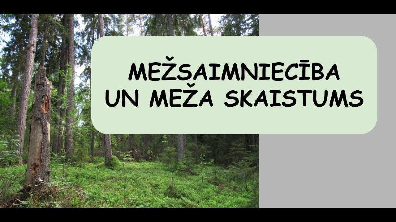 Mežsaimniecība un meža skaistums