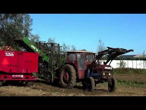 Loonw. Vermeire - Kaprijke - Massey Ferguson 165 - Stoll