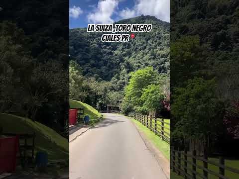 La suiza en Toro Negro Ciales Puerto Rico #ciales #puertorico #lasuiza #placestovisitpuertorico