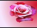 La Vie en Rose - Placido Domingo