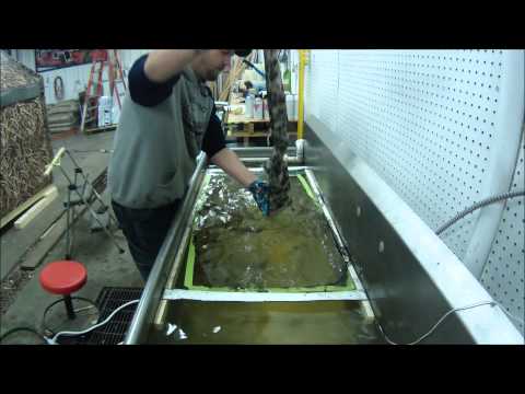 Bonz rifle stock dip at Checkpoint Graphics