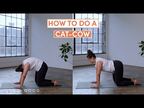How to do a Cat-Cow | The Right Way | Well+Good