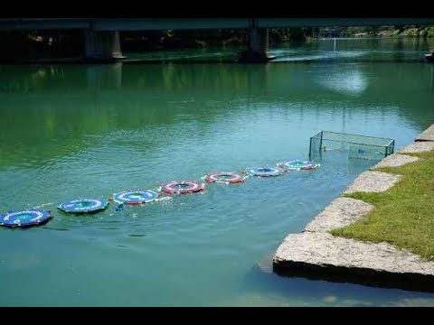 River Cleaning in Evolution