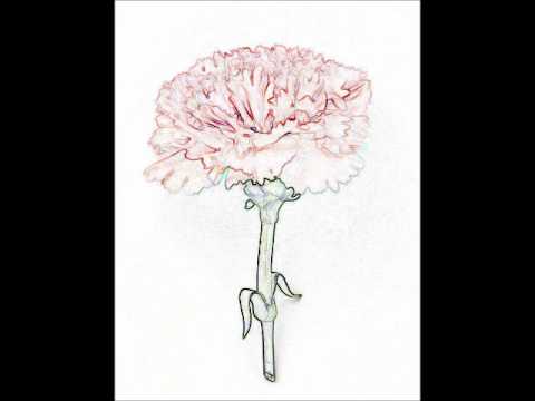 Io Echo feat Jonny Pierce - Carnation
