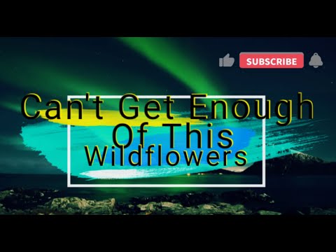 Can't Get Enough Of This- Wildflowers (feat. Step Brother), Lyric Video