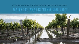 Water 101: What is "Beneficial Use"?