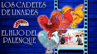 EL HIJO DEL PALENQUE 🏆 LOS ORIGINALES CADETES DE LINARES